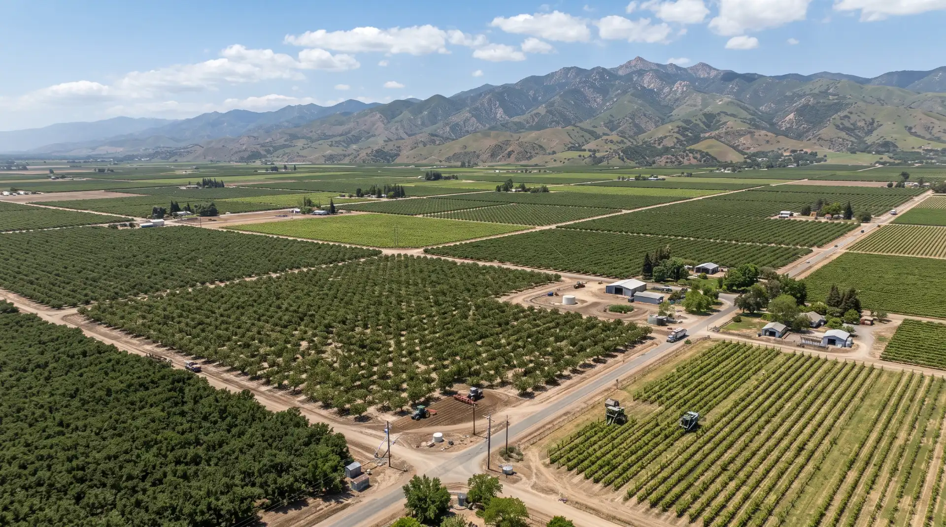 Almonds and the Transformation of the Landscape